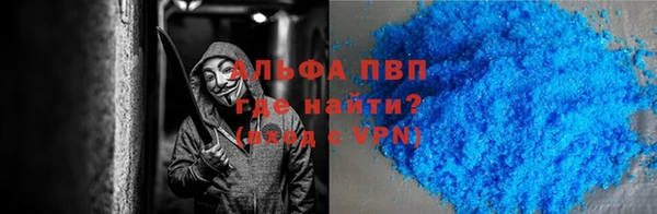 стафф Коряжма