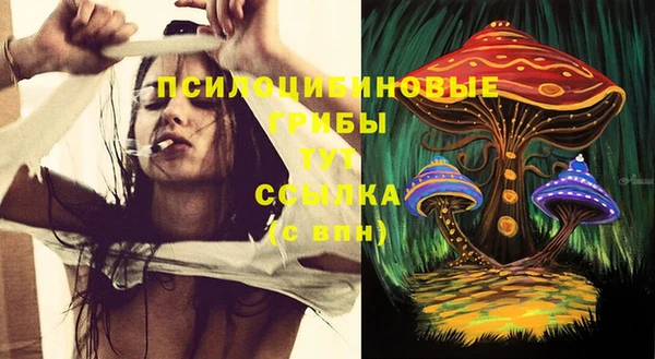 экстази Краснослободск