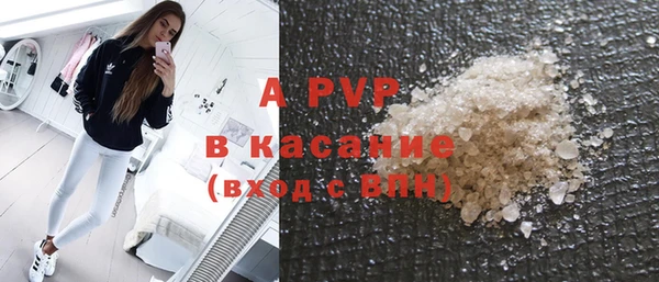 стафф Коряжма