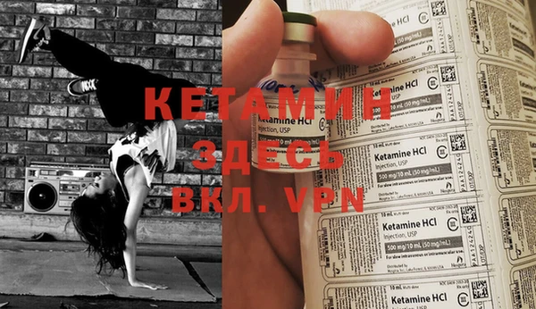 стафф Коряжма